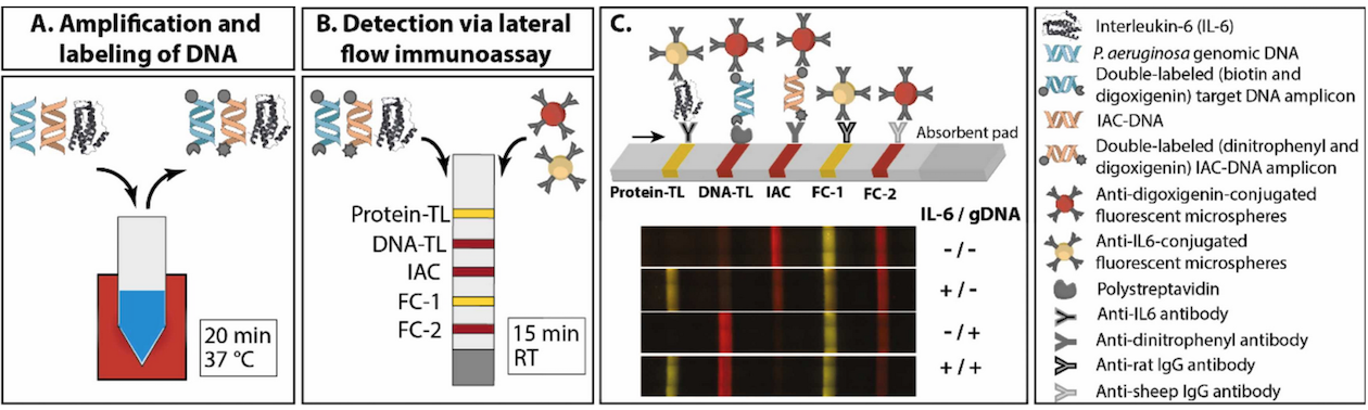 Microfluidics-content-image2