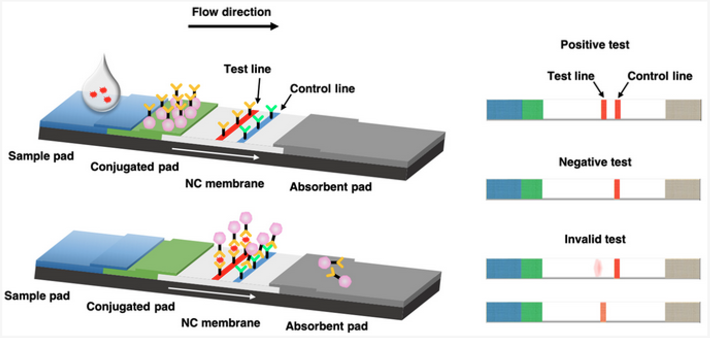 microfluidics-article3-content-image3